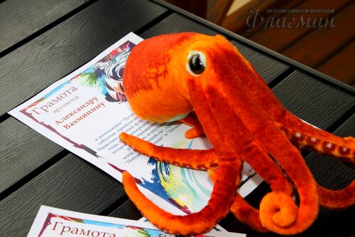 Фоторепортаж с парусной практики флотилии Флагман, прошедшей в июне 2017 года.